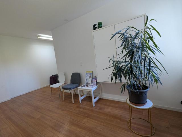 Massagepraxis Ren1_Origin Massage Uster